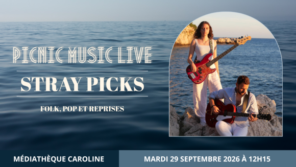 Picnic Music Live - Stray Picks - Duo acoustique - Folk, pop et reprises