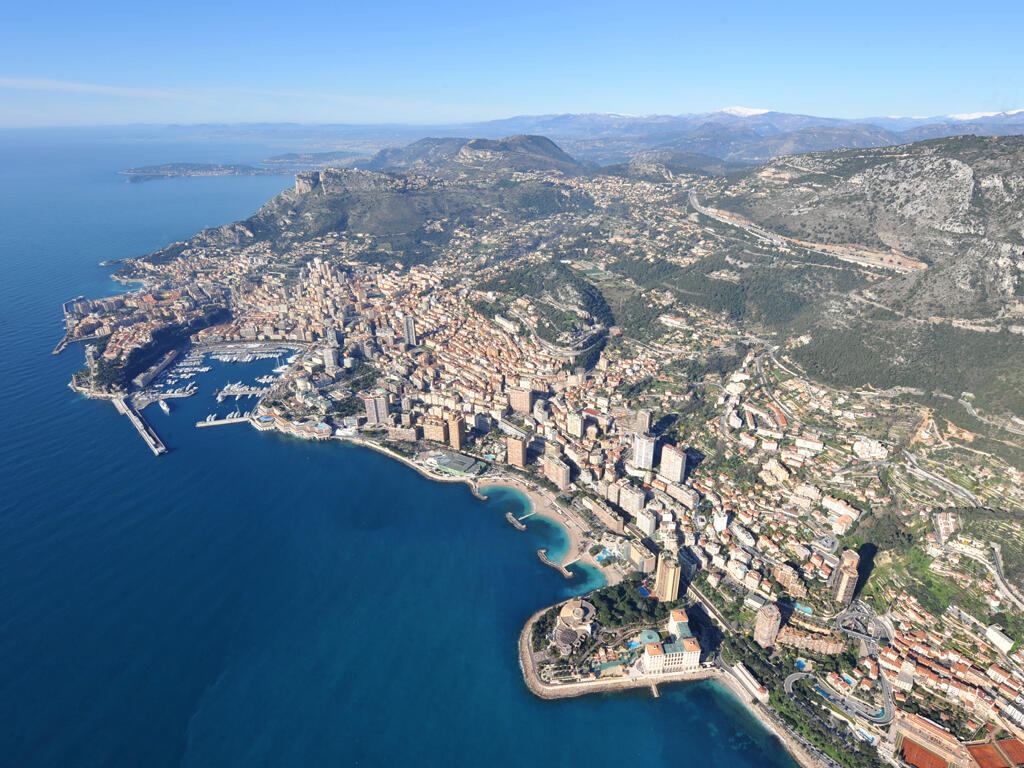 Mortalité des grandes nacres en Principauté