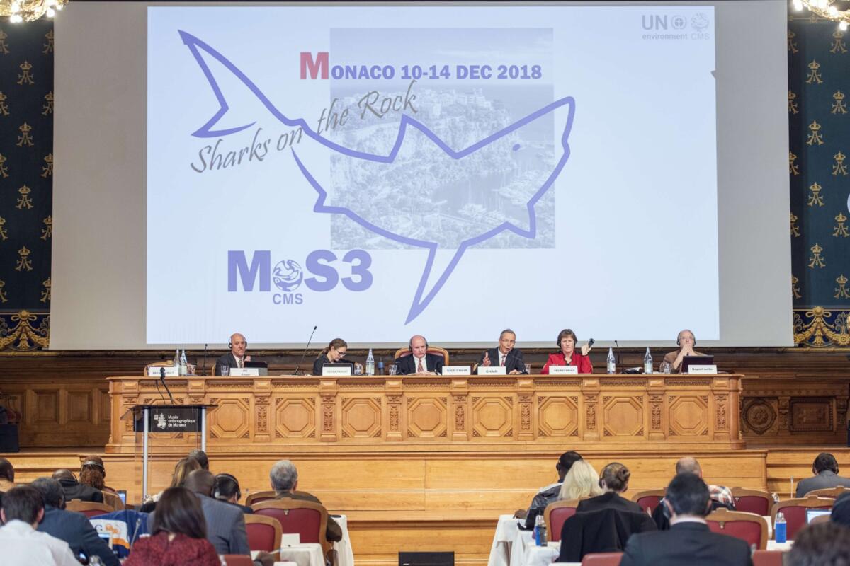 Clôture de la 3ème réunion des Signataires du Mémorandum d’Entente sur la conservation des requins migrateurs
