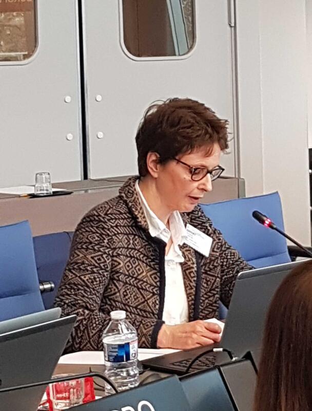 Réunion du Comité des Ministres  consacrée à la coopération entre le Conseil de l’Europe et les Nations Unies sur les questions relatives aux droits de l’Homme