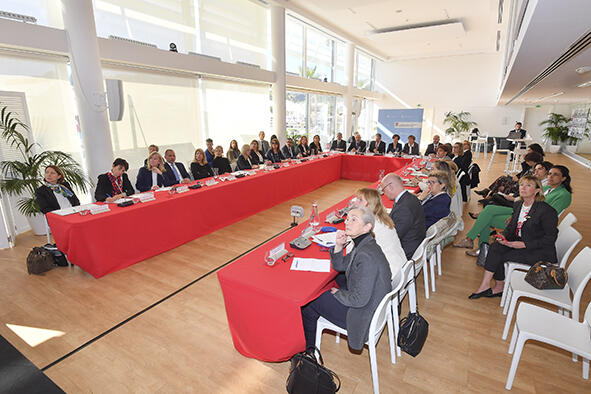 Première réunion du Comité pour la promotion et la protection des droits des femmes