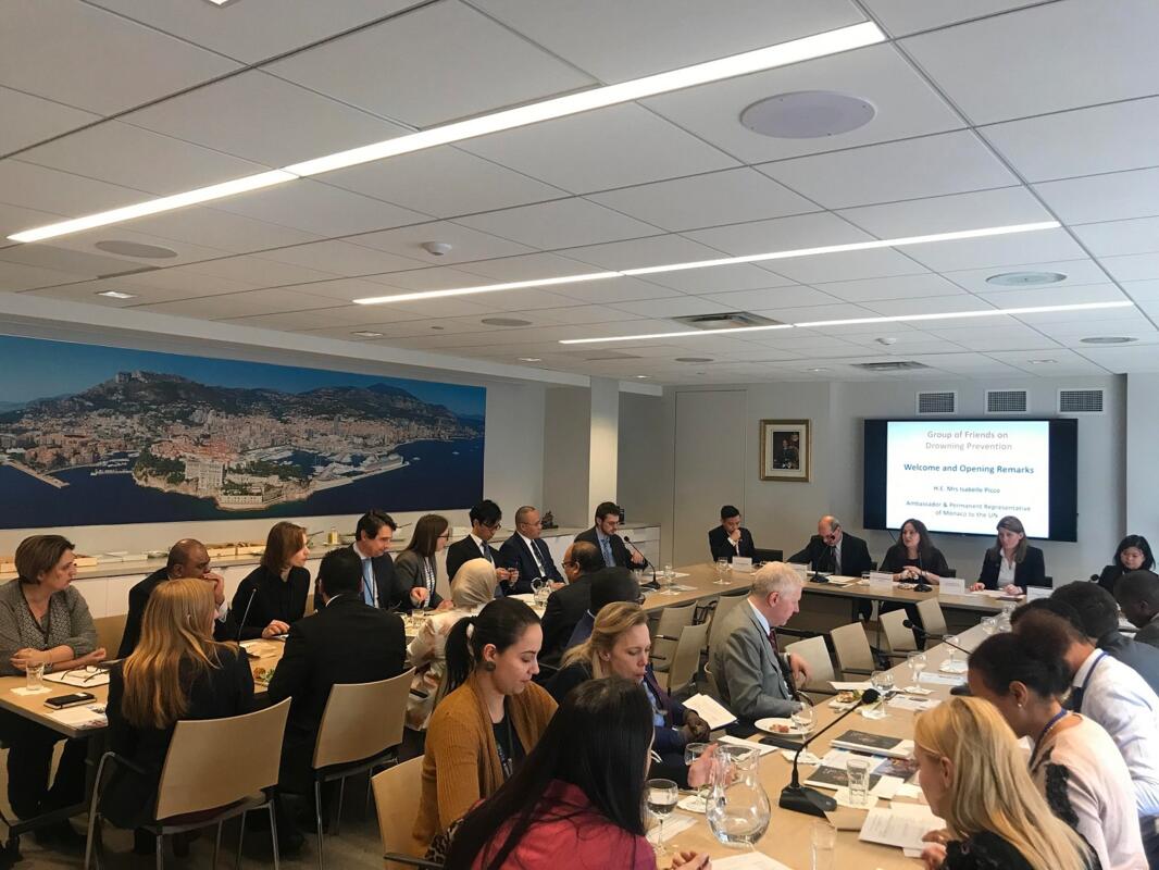 Monaco réunit à New York le Groupe des amis pour la prévention de la noyade