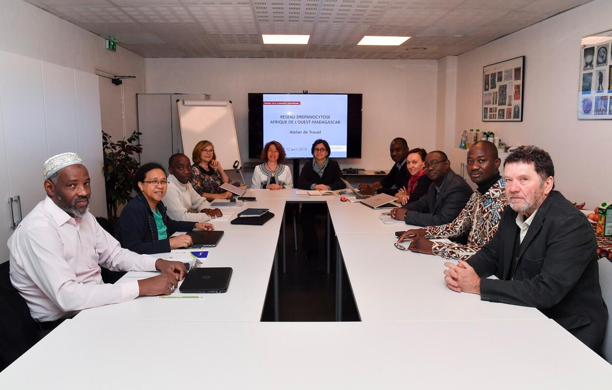 Coopération : les médecins référents de la drépanocytose réunis à Monaco