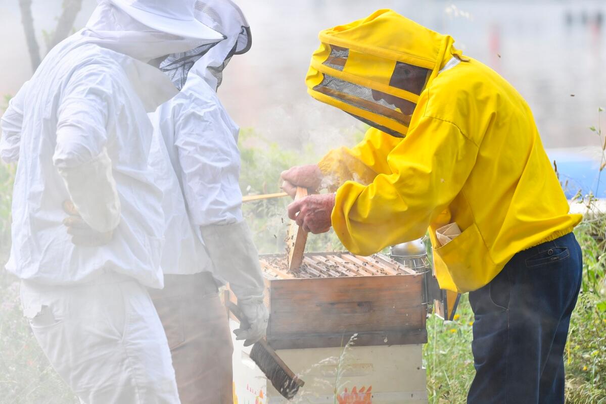 Les APIdays® fêtent leur 10ème anniversaire