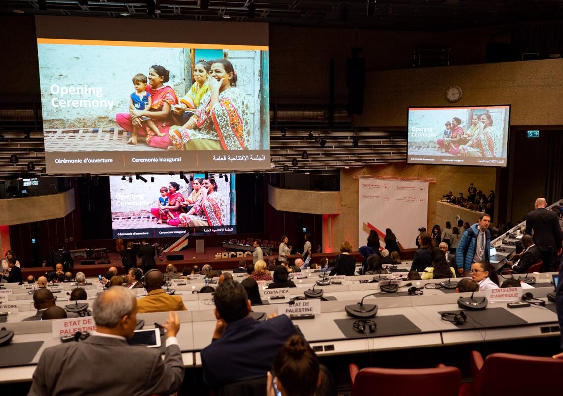 S.A.S. le Prince Souverain participe à la XXXIIIème Conférence Internationale de la Croix-Rouge et du Croissant-Rouge à Genève