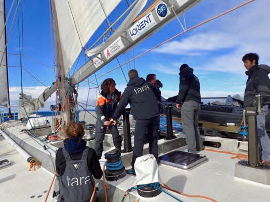 Tara Pacific, le retour à Lorient après 2 ans et demi au chevet des Récifs Coralliens.