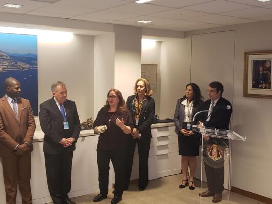 ONU &#8211; Monaco poursuit son engagement pour la conservation et l’utilisation durable de la biodiversité marine des zones au-delà de la juridiction nationale (BBNJ)