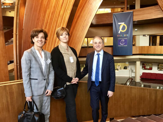 Présentation du Comité pour la promotion et la protection des droits des femmes au Conseil de l’Europe