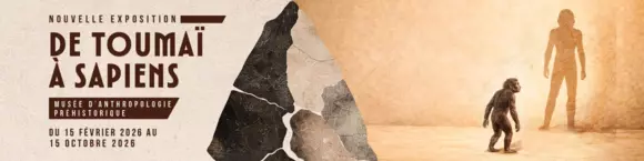 Du plus ancien ancêtre à l’Homo sapiens : l’exposition “De Toumaï à Sapiens” fascine Monaco