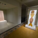 « La Sirène de 165 mètres et autres histoires », une exposition de l’artiste Shimabuku à la Villa Paloma