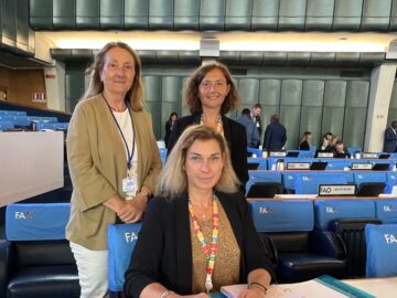 Monaco participe à la 43ème session de la Conférence de la FAO